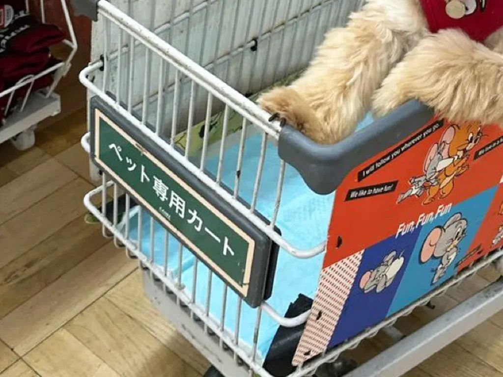 ホームセンターのペットカートに乗る犬　その姿に「優勝だろ」「高級車に見えてきた」とネットで反響 | TRILL【トリル】