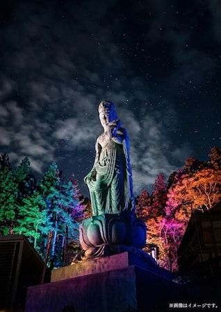 京都・綾部の「法隆寺東光院」で竹あかりとプロジェクションマッピングの融合「光幻の世界」を開催
