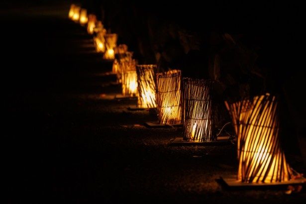エリアごとに表情が変わるイルミネーション。ゆっくりと歩を進めていこう 写真＝川崎賢大 