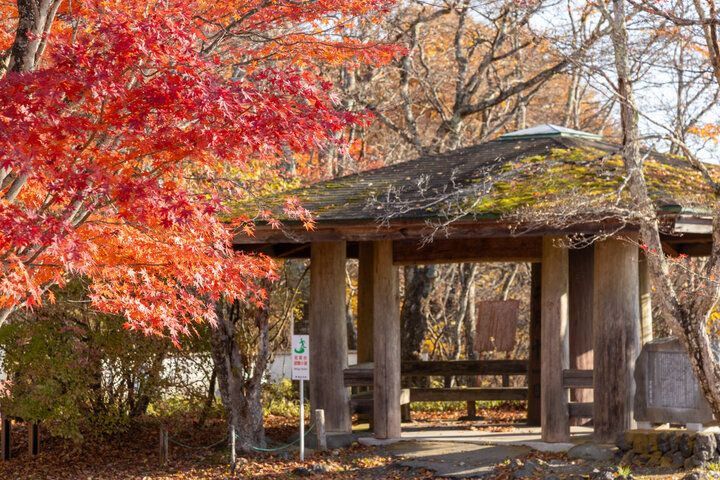 旧軽井沢から旧碓氷峠へ。縁結びの神社と紅葉も美しい茶屋の名物もちを味わって