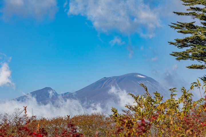 旧軽井沢から旧碓氷峠へ。縁結びの神社と紅葉も美しい茶屋の名物もちを味わって