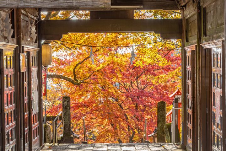 旧軽井沢から旧碓氷峠へ。縁結びの神社と紅葉も美しい茶屋の名物もちを味わって
