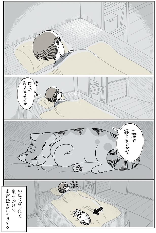 いなくなったと見せかけて （C）キュルZ／KADOKAWA