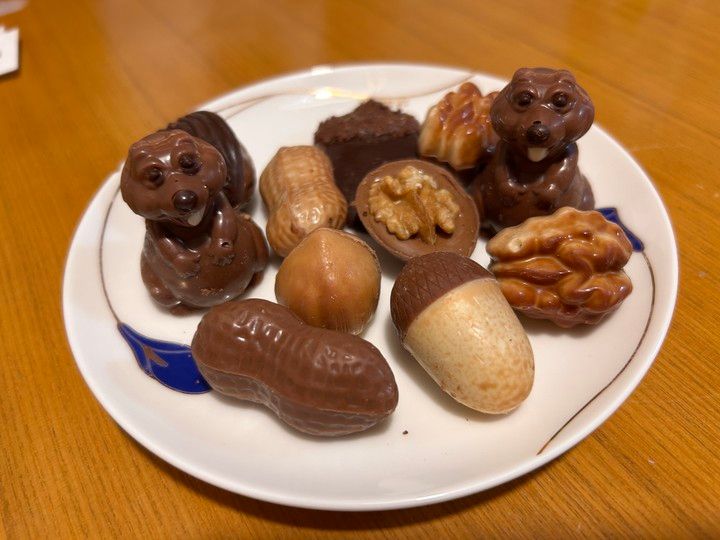 【ベルギー・ブリュッセル】お土産に買って帰りたい！ベルギーチョコ3選_4