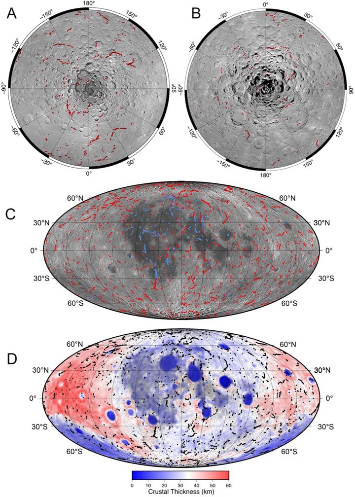 見つかった崖の場所を、月面全体の地図に描き込んだ図です(論文の図2)。(A)と(B)は北極と南極のまわり、(C)は月面全体で、赤い線が崖、青い線が海の地域にある小さな尾根のような断層です。
