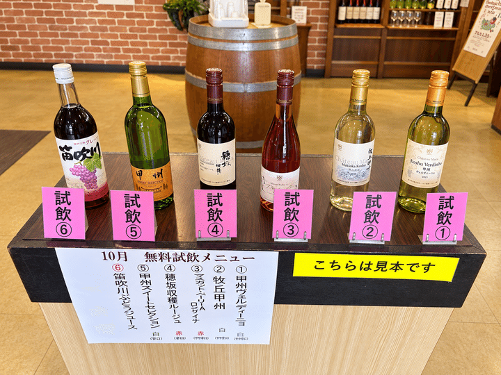 【山梨日帰りバスツアーー後編ー】信玄餅詰め放題にシャインマスカット狩りも！秋の味覚大満喫の欲張り女子旅♡_7