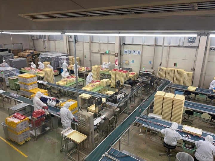 【山梨日帰りバスツアーー前編ー】信玄餅詰め放題にシャインマスカット狩りも！秋の味覚大満喫の欲ばり女子旅♡_19