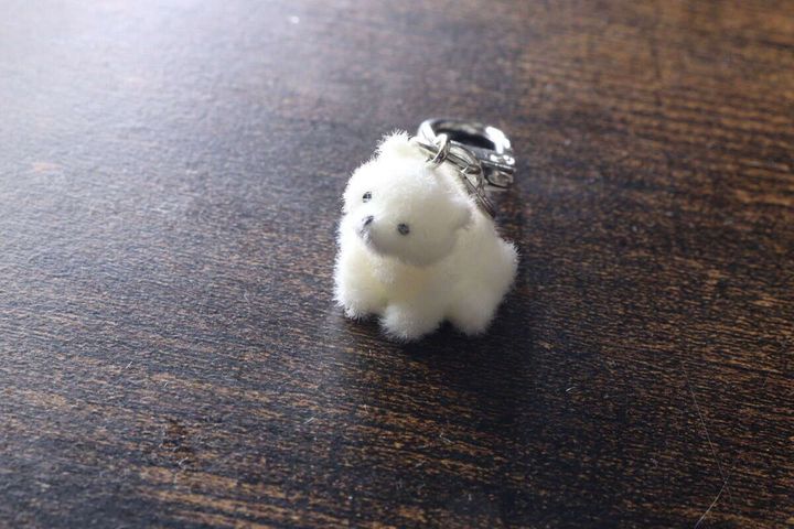 木目調の台に単体で置かれたしろくまのフロッキーキーホルダーの正面姿