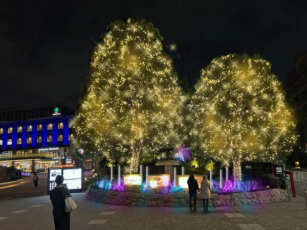 東京・「深川ギャザリア」で、約20万個のLEDを使用したウィンターイルミネーション開催！