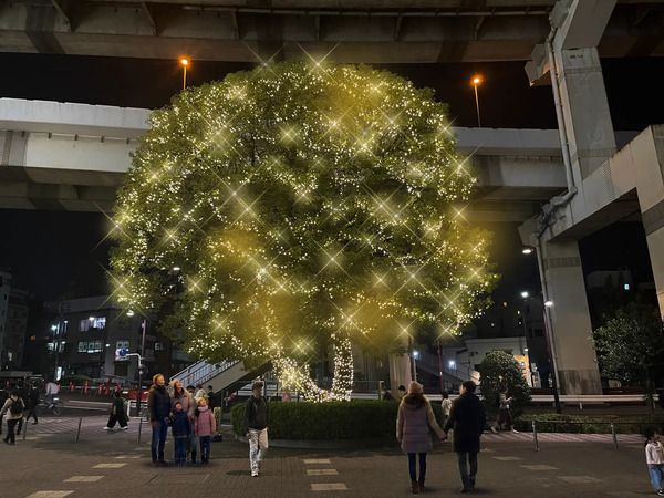 東京・「深川ギャザリア」で、約20万個のLEDを使用したウィンターイルミネーション開催！