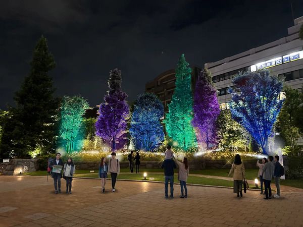 東京・「深川ギャザリア」で、約20万個のLEDを使用したウィンターイルミネーション開催！