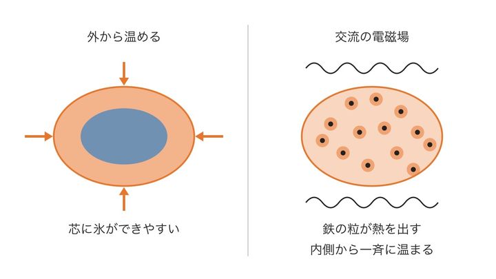 腎臓を外から温める場合と、中の鉄の粒で温める場合を比べたイメージ図です(形や大きさは正確ではありません)。左は芯が冷たく残り、右は鉄の粒が熱を出して内側から一斉に温まる点を見比べてください。