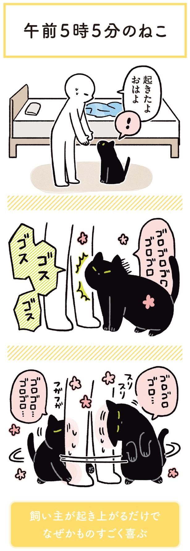 起きたよ おはよ （C）AKR／KADOKAWA