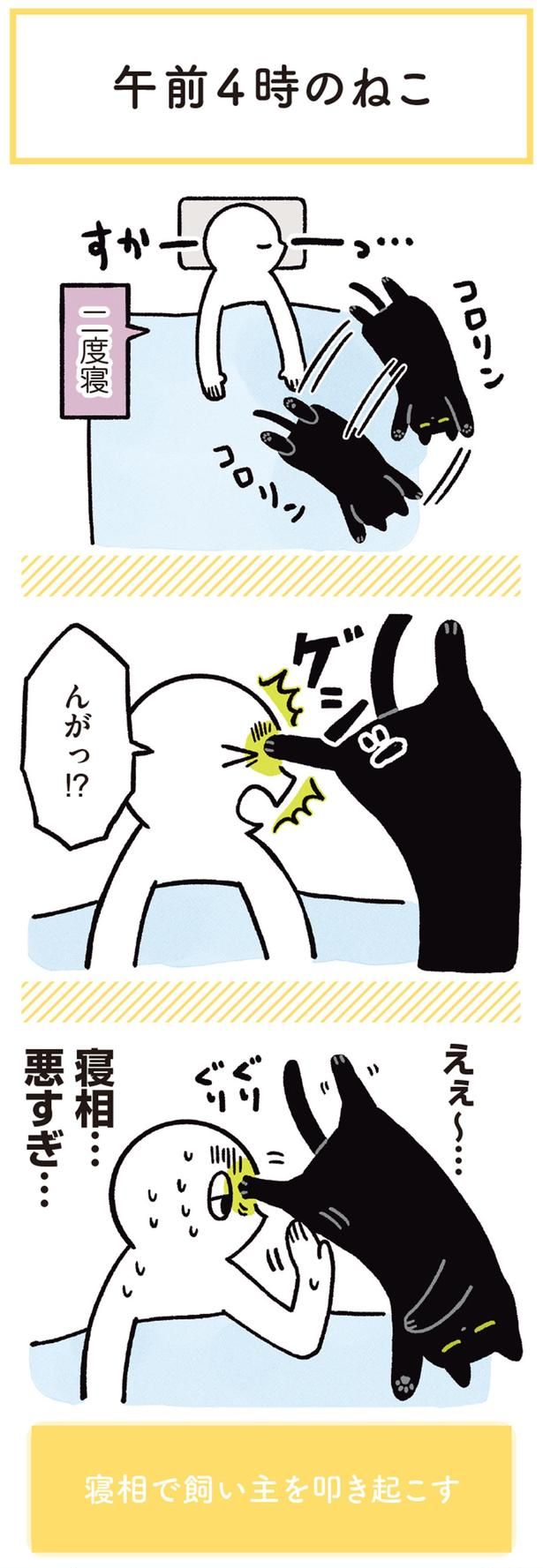 んがっ！？ （C）AKR／KADOKAWA