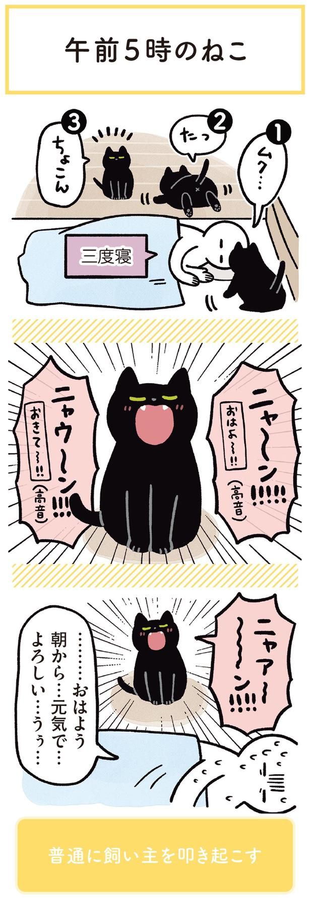 朝から…元気で…よろしい… （C）AKR／KADOKAWA