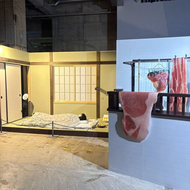 雨穴の変な世界展。 寝室