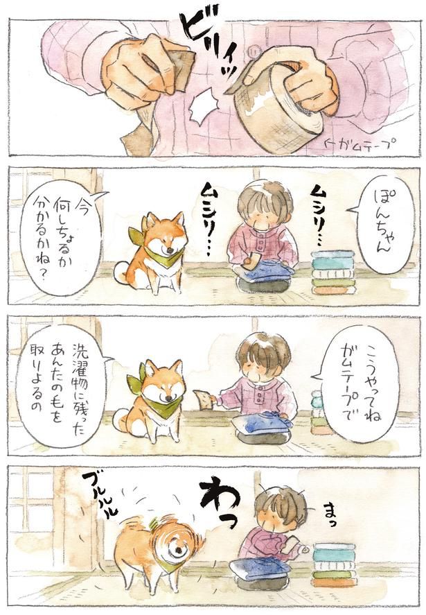 あんたの毛を取りよるの (C)犬山スケッチ／KADOKAWA