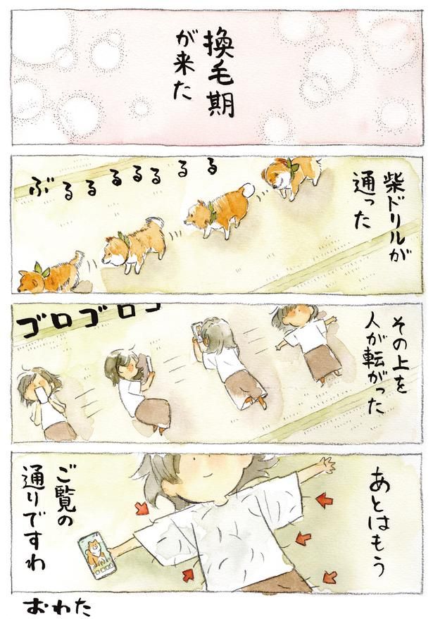 柴ドリル (C)犬山スケッチ／KADOKAWA