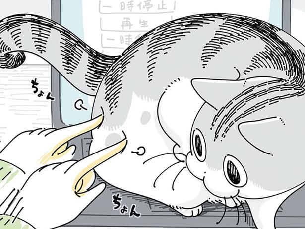 パソコンの上に居座る猫 （C）キュルZ／KADOKAWA