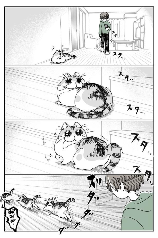 『追いかけられてる設定』01 画像提供：キュルZ@kyuryuZ