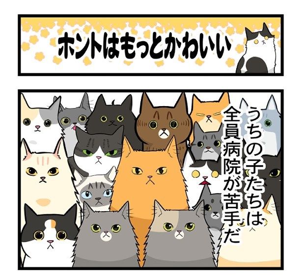 「ホントはもっとかわいい」と声を大にして言いたい もちこ(@mogutchecho)
