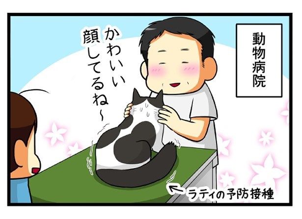 動物好きの先生たちは「かわいい」って言ってくれるけど…？ もちこ(@mogutchecho)