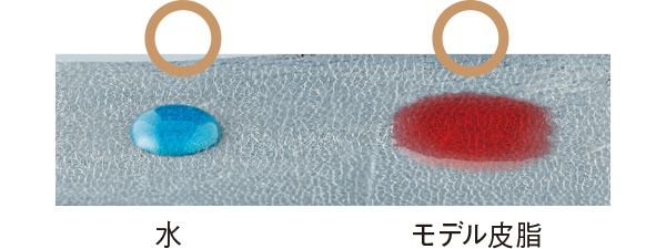 08：メディア 水○ モデル皮脂○