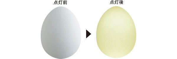 Before 点灯前 点灯後