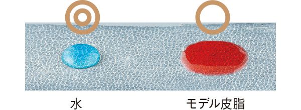 05：B.A 水◎ モデル皮脂○