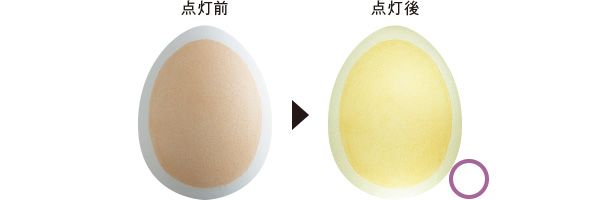 10：ルナソル 点灯前 点灯後 ○