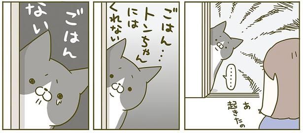 ごはんない （C）卵山玉子／KADOKAWA