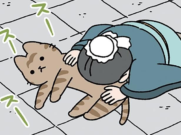 ねこに夢中！ （C）ぱんだにあ／KADOKAWA
