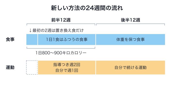 新しい方法の24週間で、食事と運動を時期ごとにどう変えたかを並べた図です。帯の長さは週の数に合わせてあり、運動は3週目から始まり、後半は体重を保つ段階に切り替わることが分かります。