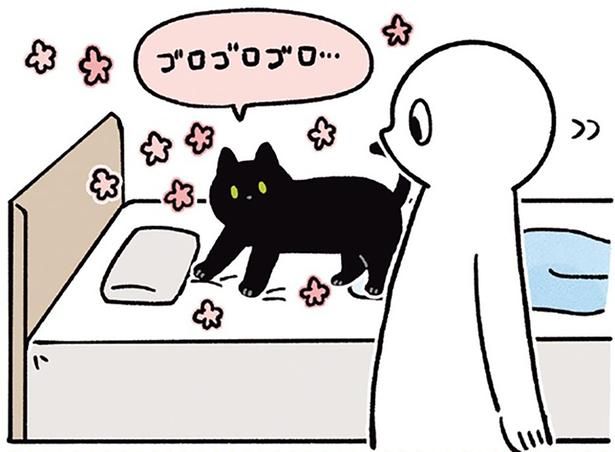 満足したろん （C）AKR／KADOKAWA