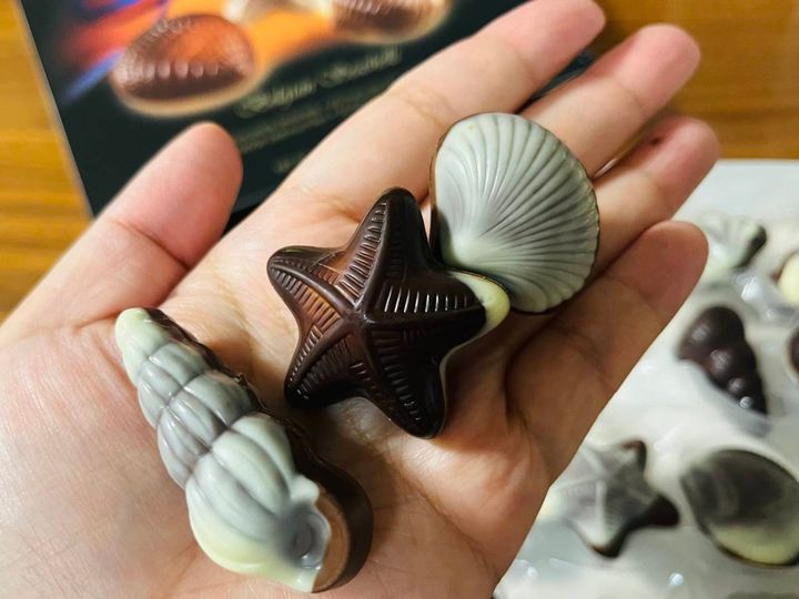 業務スーパー：チョコレートシーシェル
