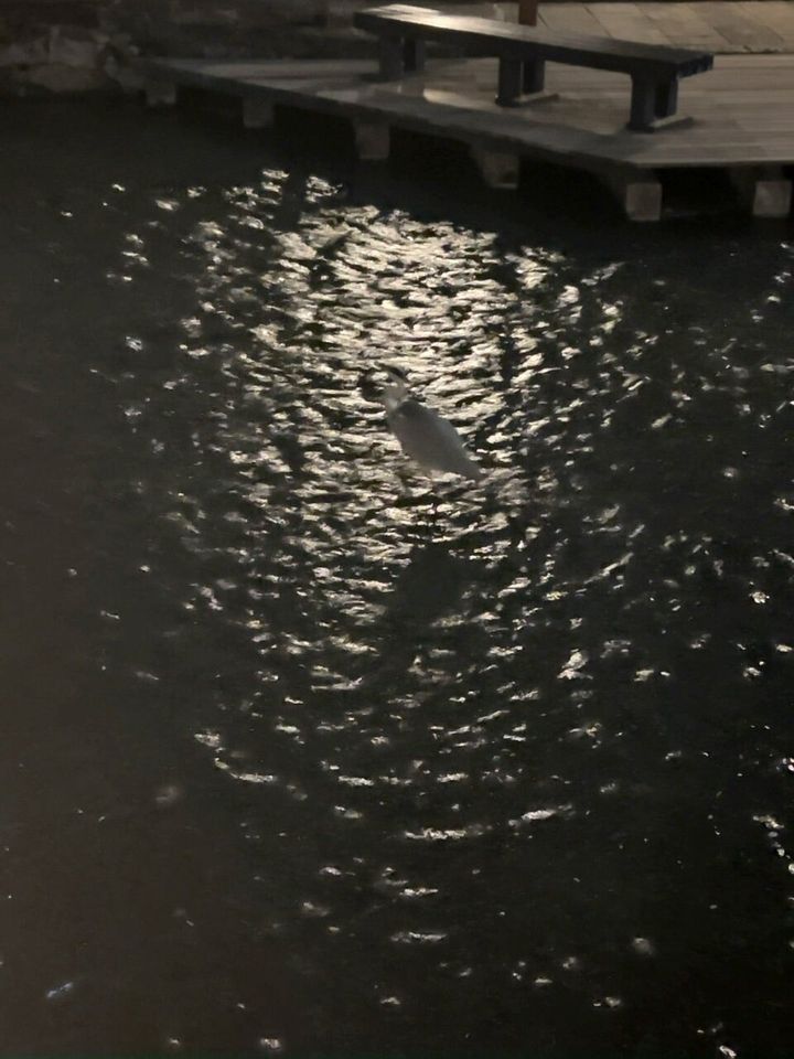  (322814)