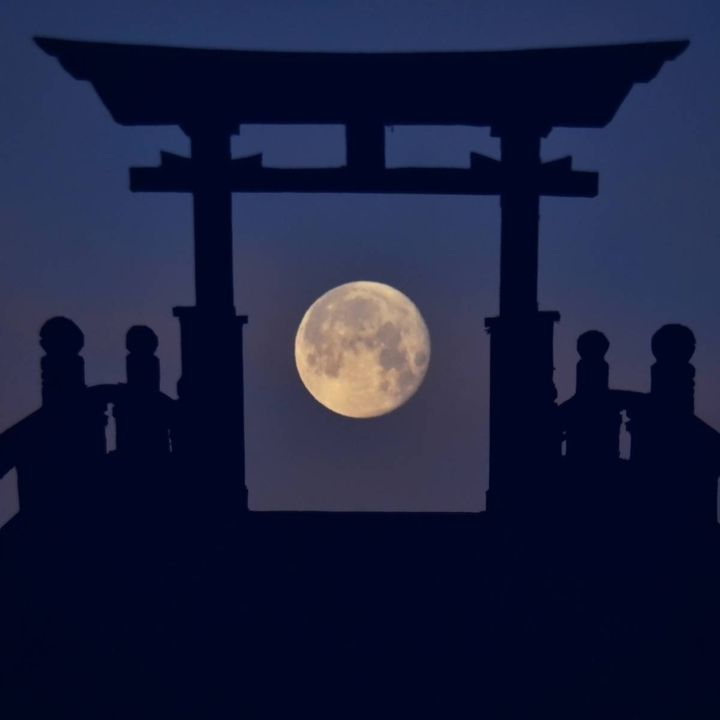 鳥居と満月