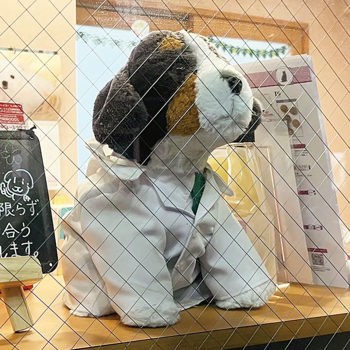 高円寺〈オハナ動物病院〉
