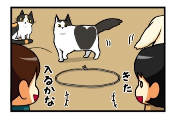 みんな興味津々に輪っかを見つめる。もちこさんたちもワクワクドキドキ！ もちこ(@mogutchecho)
