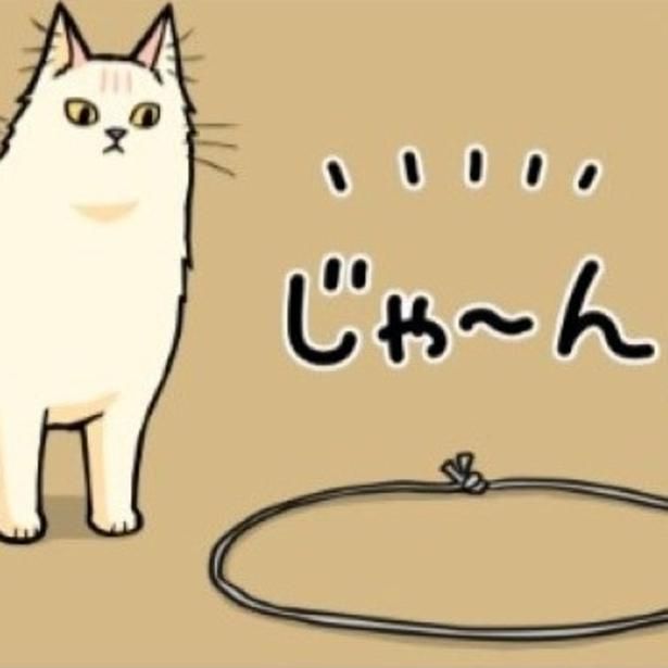 果たして猫たちは「召喚」されるのか!? もちこ(@mogutchecho)