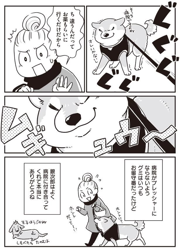 ち違うんだって (C)真希 ナルセ／KADOKAWA
