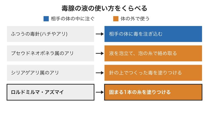 針を持つアリやハチが、毒腺の液をどう使うかを並べた図です。体の外で使うアリはほかにもいますが、固い糸にして使う例は、知られている限りこのアリが初めてです。