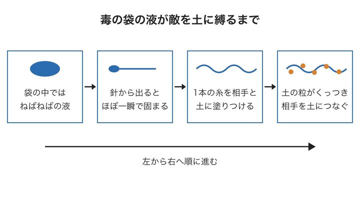 毒をためる袋の液が、敵を地面にとめる糸になるまでの流れの図です。毒のように相手の体に入れるのではなく、固まってから体の外で働き、最後は土の粒が糸を地面につなぎ止めます。
