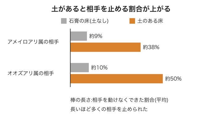 巣の床に土があるときと無いときで、糸で相手を動けなくできた割合を比べた図です。どちらの相手でも土のある床では棒が4〜5倍ほどに伸び、土が糸の力を強めたことが分かります。