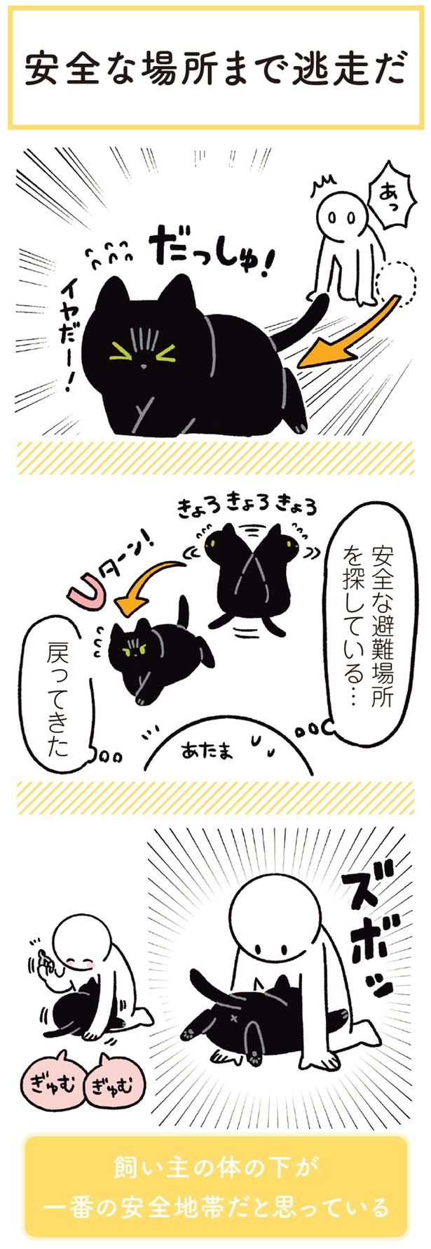 安全な避難場所を探している… （C）AKR／KADOKAWA
