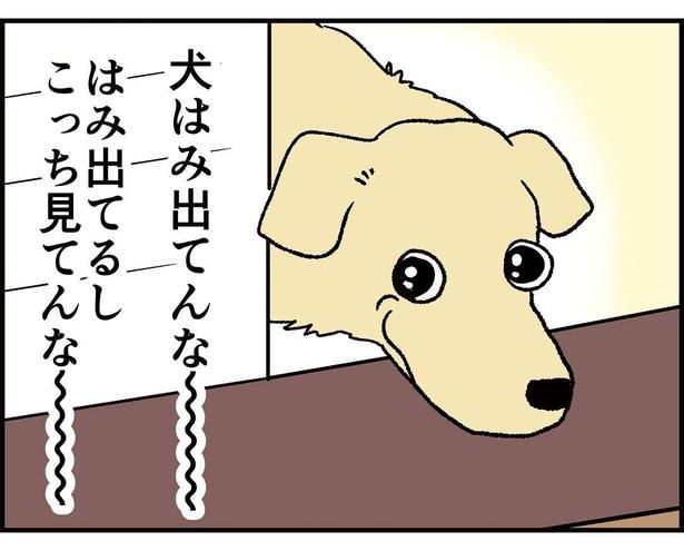 (C)Miwa Kamata