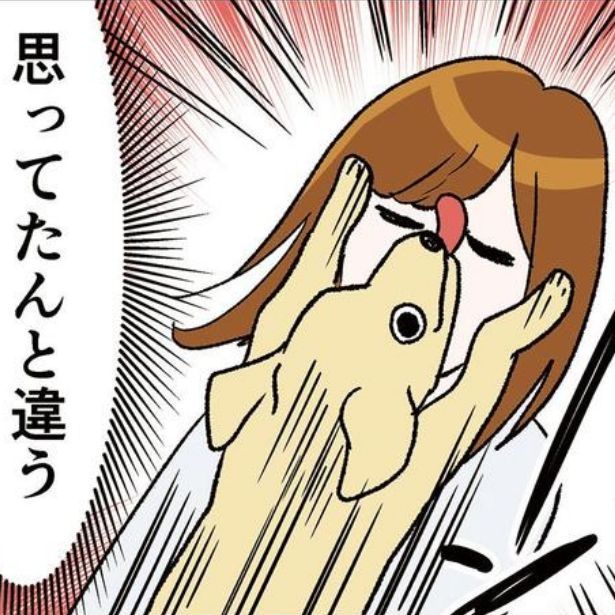癒されたくてカフェに入った結果 (C)Miwa Kamata
