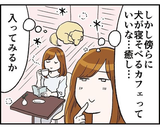 (C)Miwa Kamata