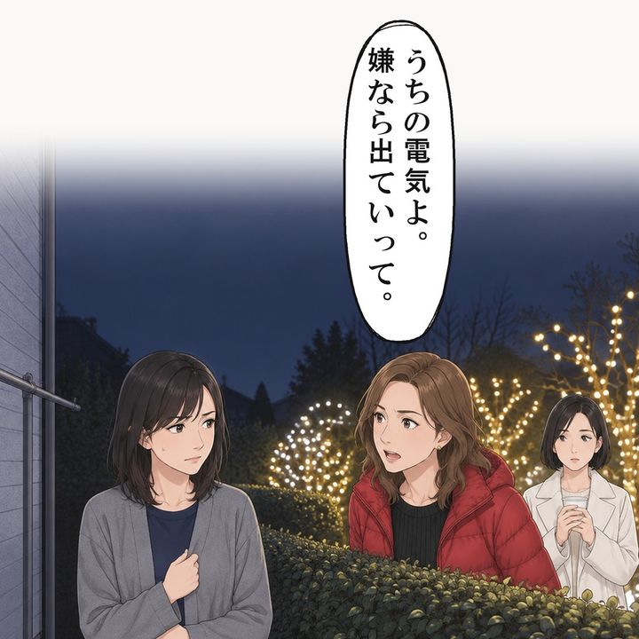 隣の庭の電飾の光で、私は何日も眠れずにいました