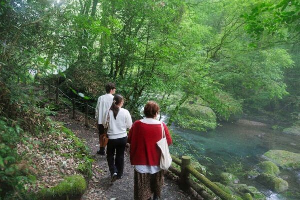 熊本県の菊池渓谷で自然の中のお茶会や薬膳朝食を体験！離れ宿で心身を整えるウエルネスツアーの予約受付開始